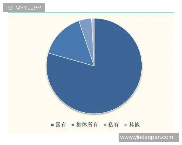 西安足球队运营模式解析与发展前景探讨 西安足球队运营模式解析与发展前景探讨