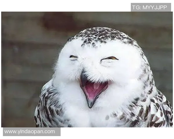 哈萨克搞笑足球明星精彩瞬间合集让你捧腹大笑的足球趣事