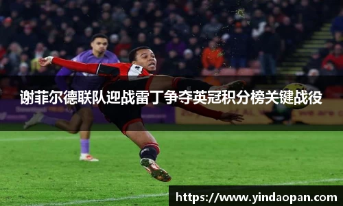 谢菲尔德联队迎战雷丁争夺英冠积分榜关键战役