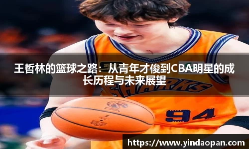 王哲林的篮球之路：从青年才俊到CBA明星的成长历程与未来展望
