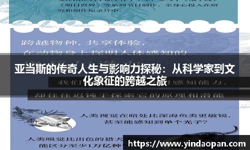 熊猫体育平台