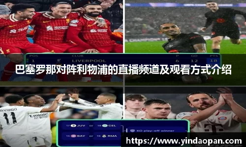 熊猫体育平台