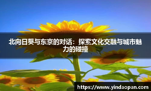 北向日葵与东京的对话：探索文化交融与城市魅力的碰撞